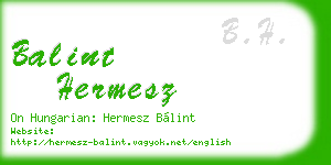 balint hermesz business card